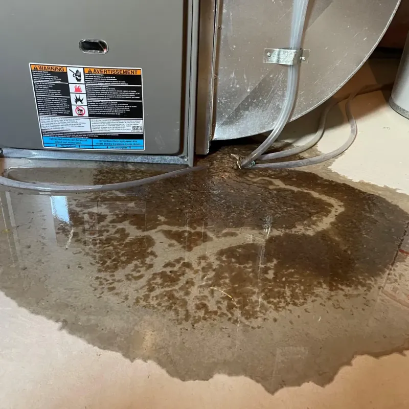 Appliance Leak Cleanup in Becker, MN